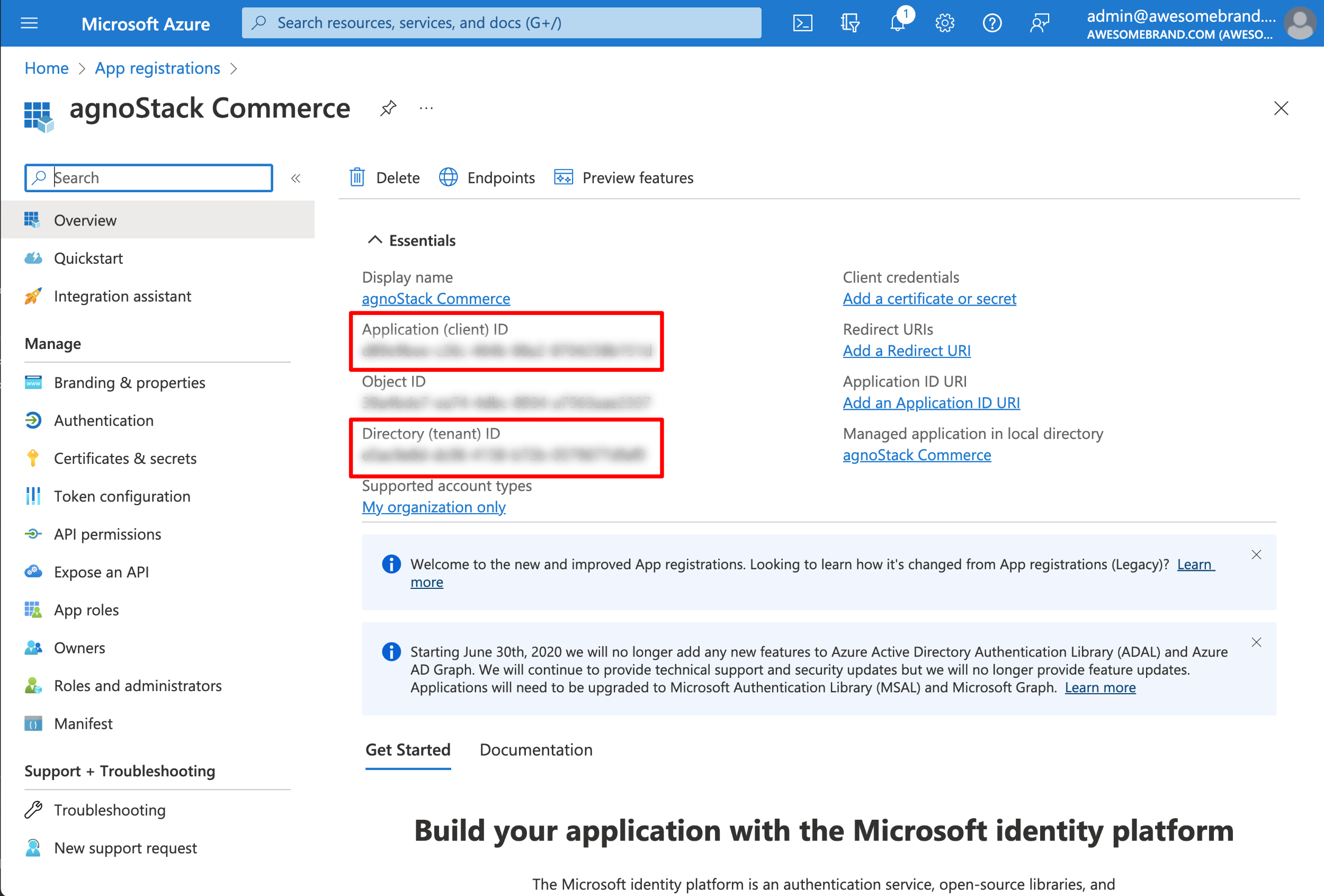 Azure app registration overview with the Application (client) ID and Directory (tenant) ID